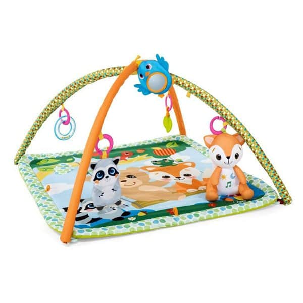 משטח פעילות - יער קסום