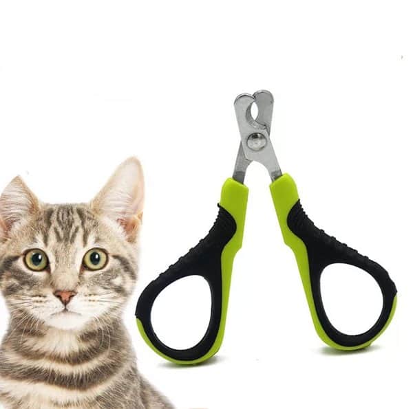 מספרי ציפורניים לחתול