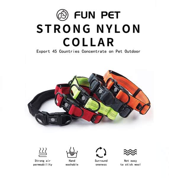 קולר כפול לכלב DO19121901